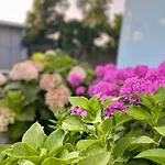 Mia - Entire With Balcony & Garden *