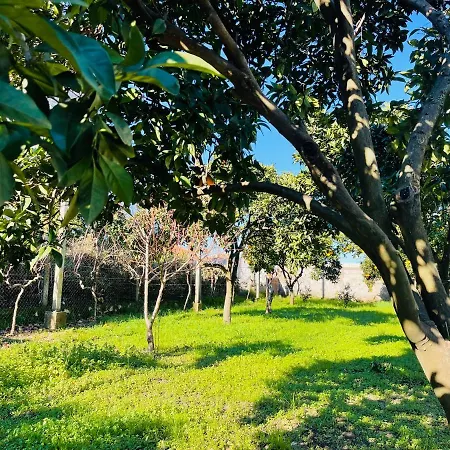 Mia - Entire With Balcony & Garden Appartamento