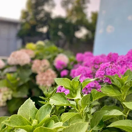 Mia - Entire With Balcony & Garden *