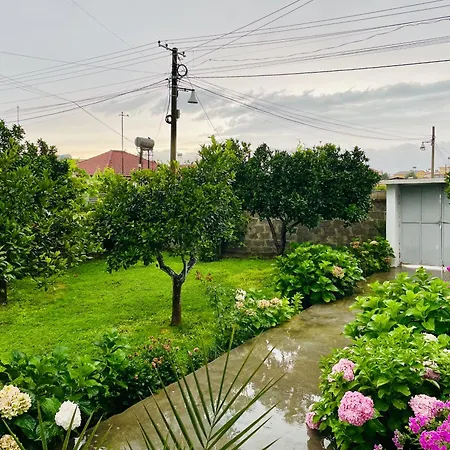 Apartment Mia - Entire With Balcony & Garden *