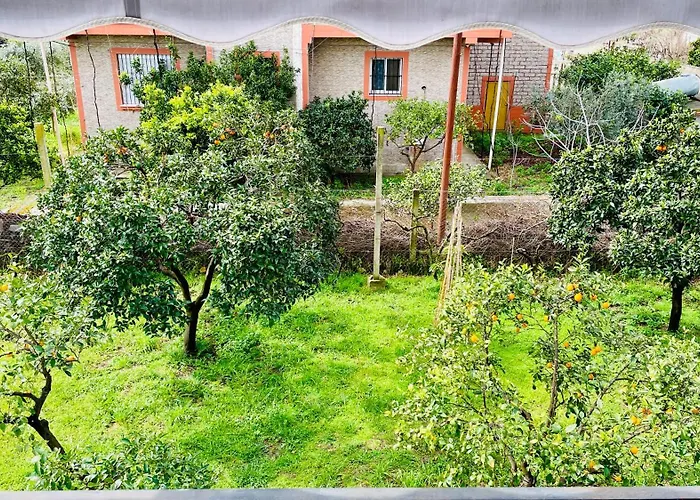 Mia - Entire With Balcony & Garden Appartement Divjake